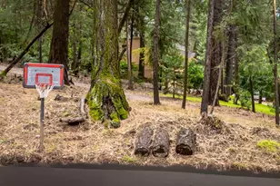 5043 Virginia Bird Mine Ct, Foresthill, CA 95631 - Photo 66