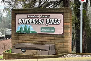 Dalewood Way, Grass Valley, CA 95949 - Photo 32