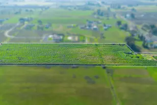 10118 Pioneer Ave, Oakdale, CA 95361 - Photo 30