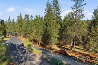1642 The Point Road Lot 297, Meadow Vista, CA 95722 - Photo 6