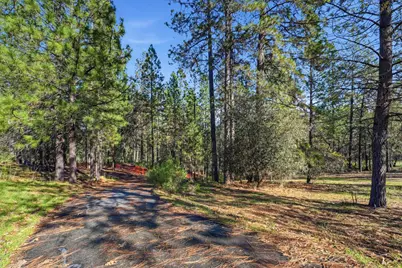 1642 The Point Road Lot 297, Meadow Vista, CA 95722 - Photo 26