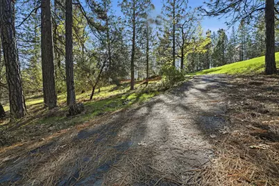 1642 The Point Road Lot 297, Meadow Vista, CA 95722 - Photo 26