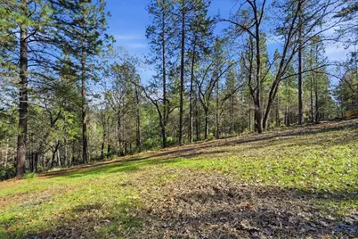 1642 The Point Road Lot 297, Meadow Vista, CA 95722 - Photo 30