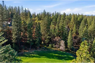 1642 The Point Road Lot 297, Meadow Vista, CA 95722 - Photo 12