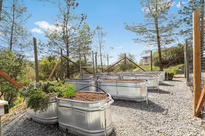 15666 Wolf Mountain Road, Grass Valley, CA 95949 - Photo 6