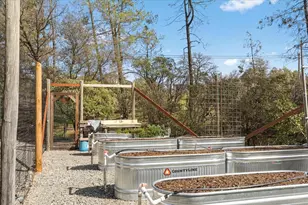 15666 Wolf Mountain Rd, Grass Valley, CA 95949 - Photo 36