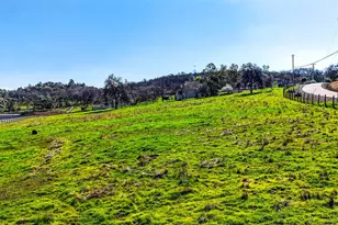 4530 Grazing Hill Rd, Shingle Springs, CA 95682 - Photo 48