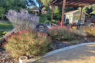 8472 Joe Rodgers Rd, Granite Bay, CA 95746 - Photo 46