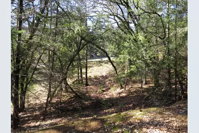 0 Forest Lake Place, Colfax, CA 95713 - Photo 12