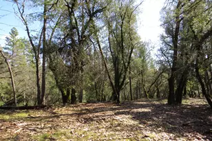 0 Forest Lake Pl, Colfax, CA 95713 - Photo 1