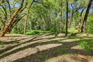 20012 White Oak Dr, Grass Valley, CA 95949 - Photo 66