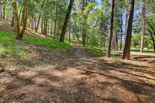 20012 White Oak Dr, Grass Valley, CA 95949 - Photo 88