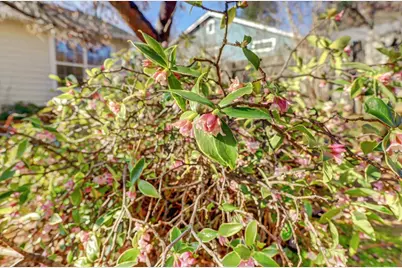 143 Scotia Pines Circle, Grass Valley, CA 95945 - Photo 56