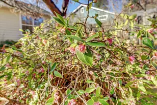 143 Scotia Pines Cir, Grass Valley, CA 95945 - Photo 56