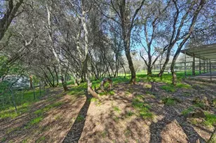 4651 Pilot Creek Ln, Pilot Hill, CA 95664 - Photo 38