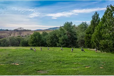 8560 Bar Crest Drive, Placerville, CA 95667 - Photo 76