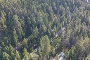 4169 Hwy 4, Arnold, CA 95223 - Photo 6