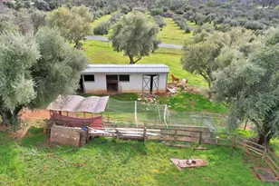 5423 Virginia Rd, Marysville, CA 95901 - Photo 66