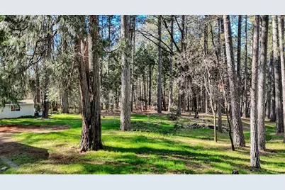 10856 Terrace Pines Court, Grass Valley, CA 95945 - Photo 46