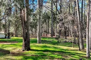 10856 Terrace Pines Ct, Grass Valley, CA 95945 - Photo 46