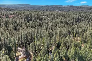 10856 Terrace Pines Ct, Grass Valley, CA 95945 - Photo 42