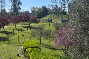 11137 Camanche Pkwy, Wallace, CA 95254 - Photo 4