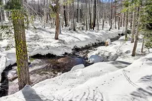 7770 Tamarack Pines Rd, Twin Bridges, CA 95735 - Photo 8