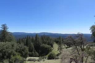 1975 Ridgecrest Way, West Point, CA 95255 - Photo 50