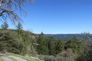 1975 Ridgecrest Way, West Point, CA 95255 - Photo 52