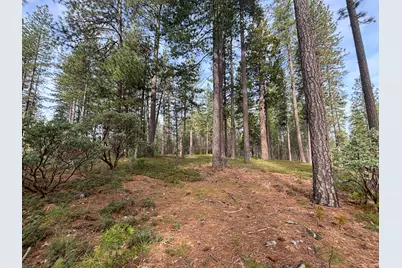 245 Heron Court, Avery, CA 95224 - Photo 8