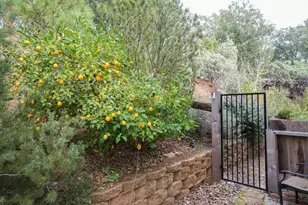 16375 Jesus Maria Rd, Mokelumne Hill, CA 95245 - Photo 6