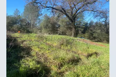 16194 Vierra Road, Browns Valley, CA 95972 - Photo 6