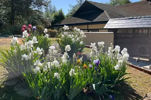 1555 Naturewood Dr, Meadow Vista, CA 95722 - Photo 78