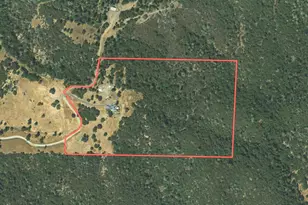 13088 Trembath Mountain Rd, Fiddletown, CA 95629 - Photo 98