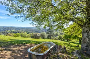 13088 Trembath Mountain Rd, Fiddletown, CA 95629 - Photo 86