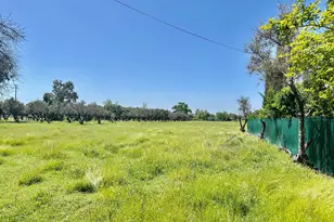 2815 Louis Ave, Oroville, CA 95966 - Photo 14