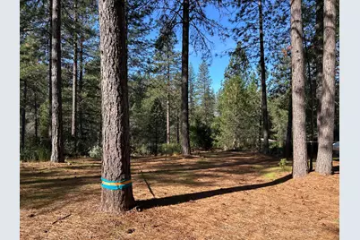 11684 Serendipity Lane, Nevada City, CA 95959 - Photo 40