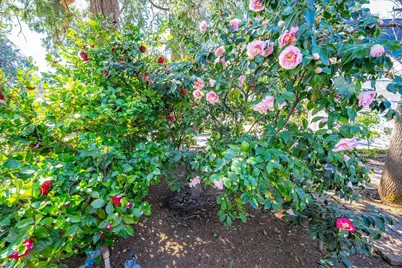 5891 Church Street, Foresthill, CA 95631 - Photo 62