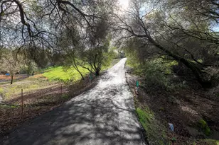 8664 Center St, Mokelumne Hill, CA 95245 - Photo 4