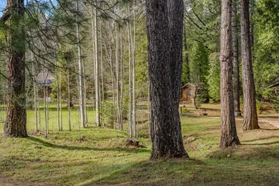 1190 Lili Valley Circle, West Point, CA 95255 - Photo 28