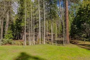 1190 Lili Valley Circle, West Point, CA 95255 - Photo 24