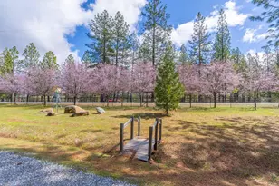 19500 Jesus Maria Rd, Mountain Ranch, CA 95246 - Photo 72