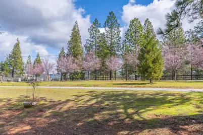 19500 Jesus Maria Road, Mountain Ranch, CA 95246 - Photo 58