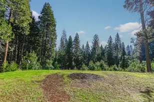 27095 Antelope Dr, Pioneer, CA 95666 - Photo 26