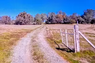 618 Covey Ln, Valley Springs, CA 95252 - Photo 6
