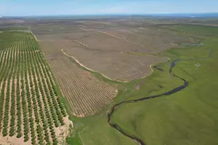 17559 E Liberty Rd, Clements, CA 95227 - Photo 1