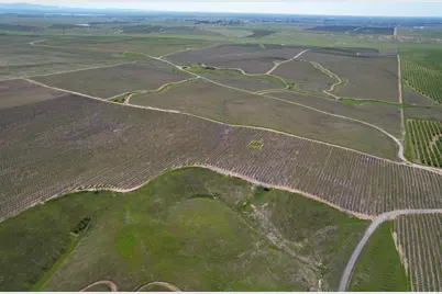 17559 E Liberty Road, Clements, CA 95227 - Photo 6