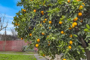 8405 Fernando Way, Elverta, CA 95626 - Photo 50