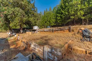 1620 Wells Fargo Station Rd, Mokelumne Hill, CA 95245 - Photo 14