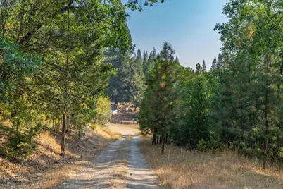 1620 Wells Fargo Station Road, Mokelumne Hill, CA 95245 - Photo 4